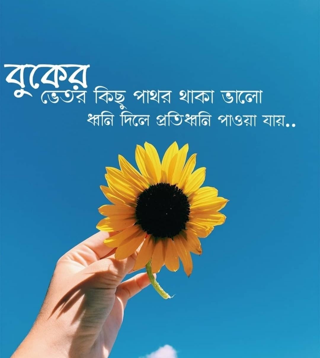 bengali sad quotes status