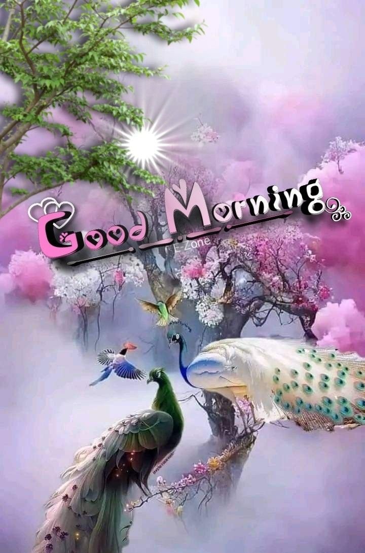 Good Morning Images With Flowers good morning images with flowers 1
